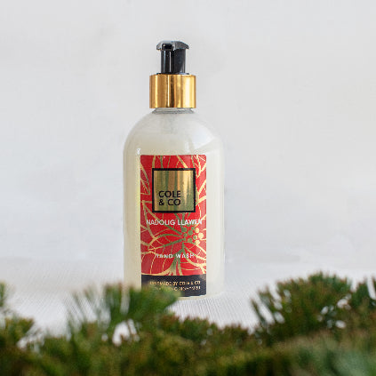Nadolig Llawen Hand Wash
