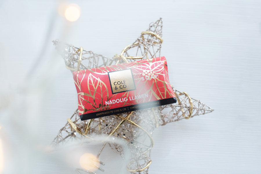 Nadolig Llawen Mini Soap