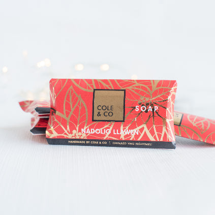 Nadolig Llawen Mini Soap