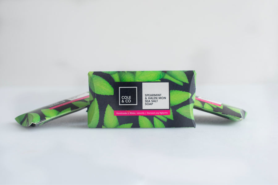 Spearmint & Sea Salt Mini Soap