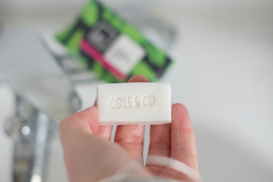 Spearmint & Sea Salt Mini Soap