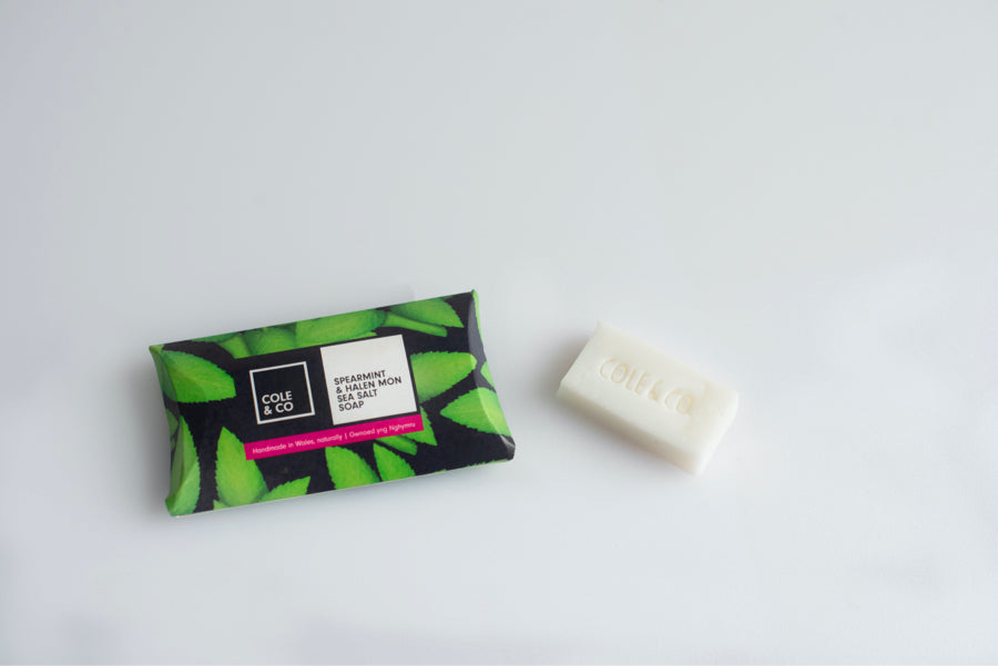 Spearmint & Sea Salt Mini Soap