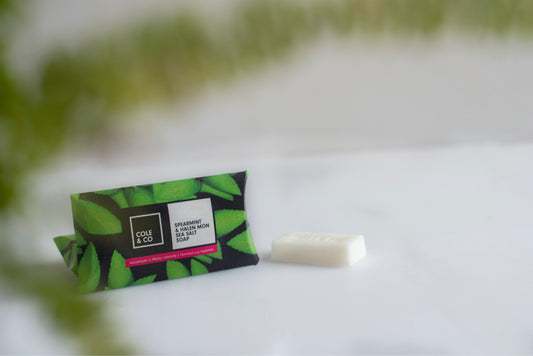 Spearmint & Sea Salt Mini Soap