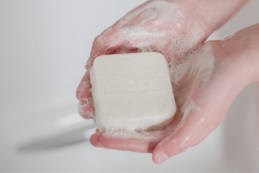 Pomegranate Conditioner Bar