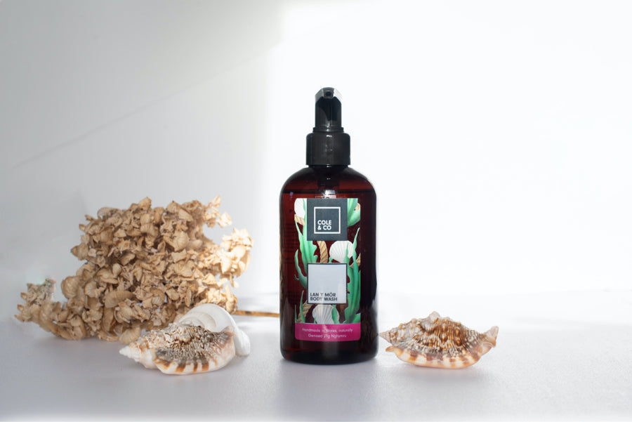 Lan Y Môr Hand Wash