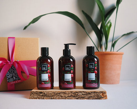 The Shower Essentials Gift Set