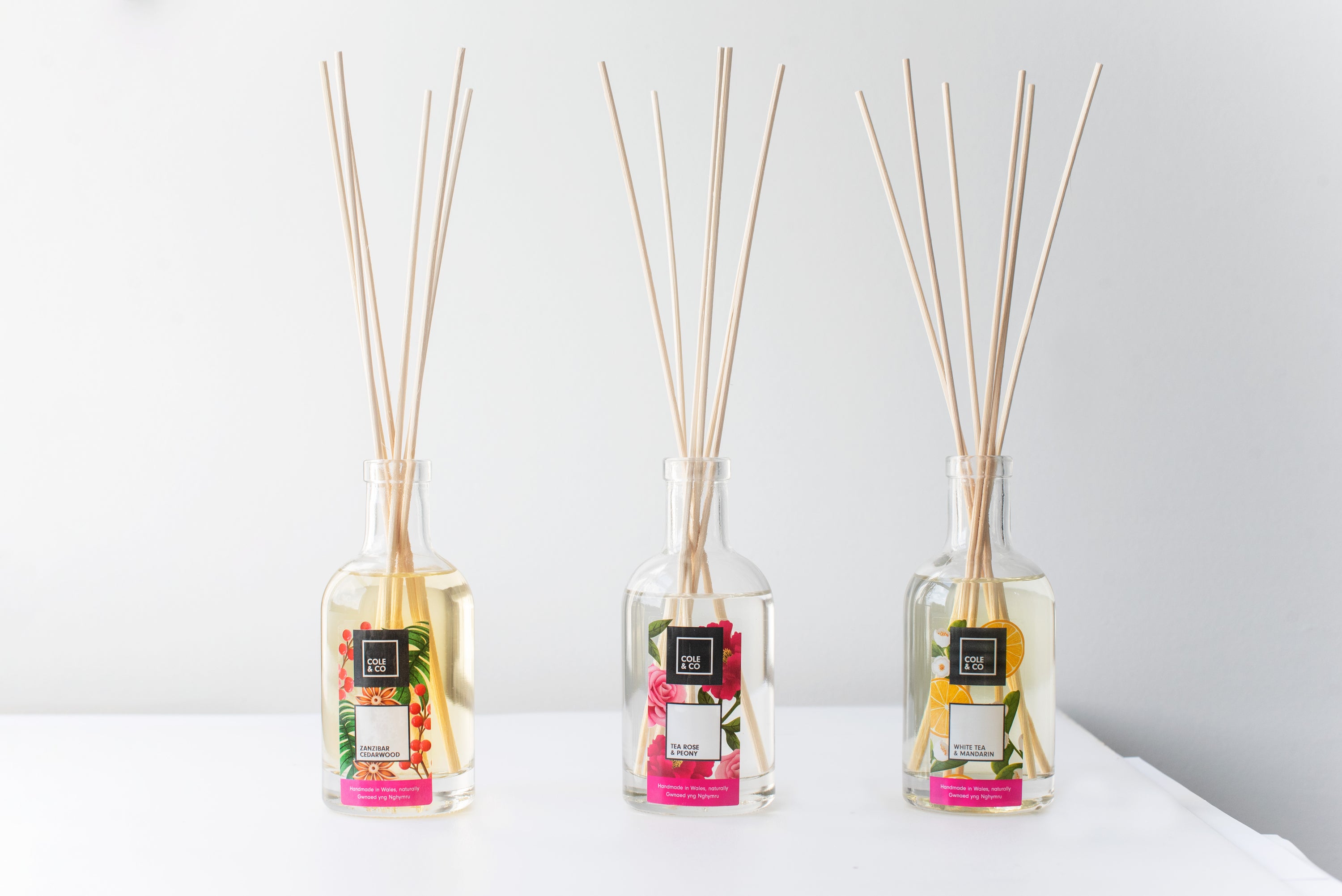 Cole & Co – Cole&Co
