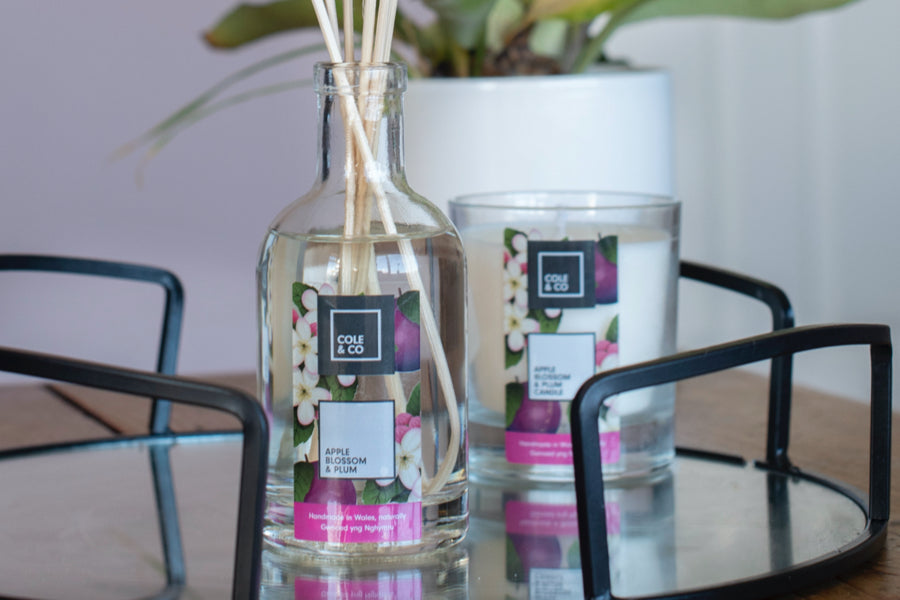 Apple Blossom & Plum Diffuser