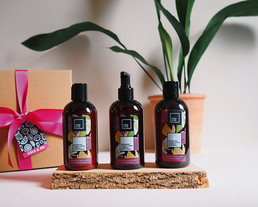 The Shower Essentials Gift Set